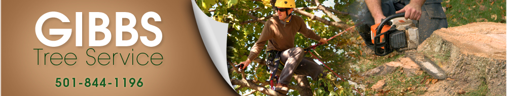 Tree Removal Services Arkansas